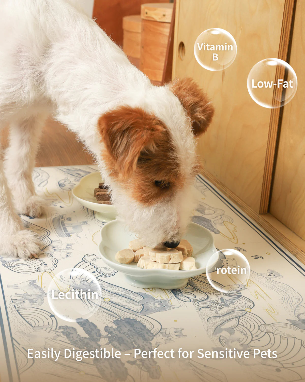 PET-EVER Freeze Dried Raw Whole-Cut Rabbit Tenderloin Cat &Dog Treats 70g-PETROOM