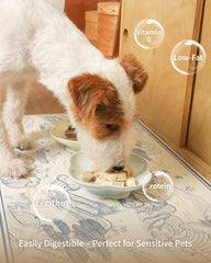 PET-EVER Freeze Dried Raw Whole-Cut Rabbit Tenderloin Cat &Dog Treats 70g-PETROOM