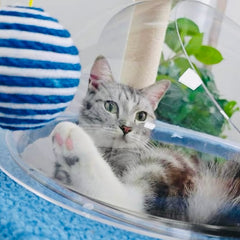 Galaxy UFO Moon Cat Tree – Stylish & Fun Cat Tower Premium