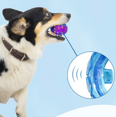 Gigwi Interactive G-Ball Series Squeaky Balls Dog Toy