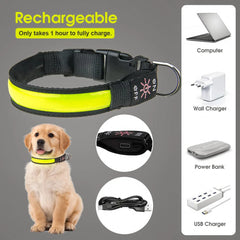 50cm USB Rechargeable Light-up LED Pet Collar