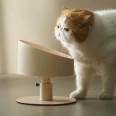 Fluffy white and ginger cat using modern elevated cat food bowl, stylish pet feeding station