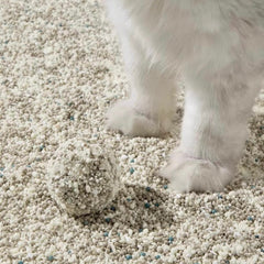 Petshy Plant Mixture Cat Litter 2.5kg