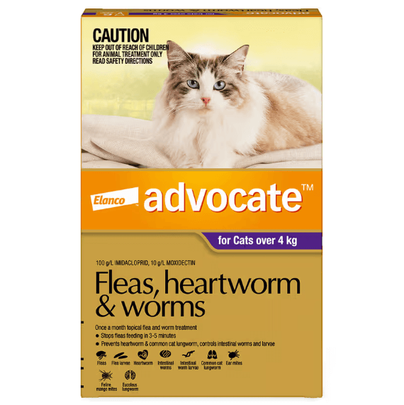 ADVOCATE Flea Heartworm and Worm For Big Cat 3pack (Purple)-Petroom