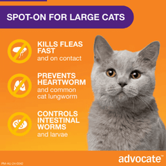 ADVOCATE Flea Heartworm and Worm For Big Cat 3pack (Purple)-Petroom