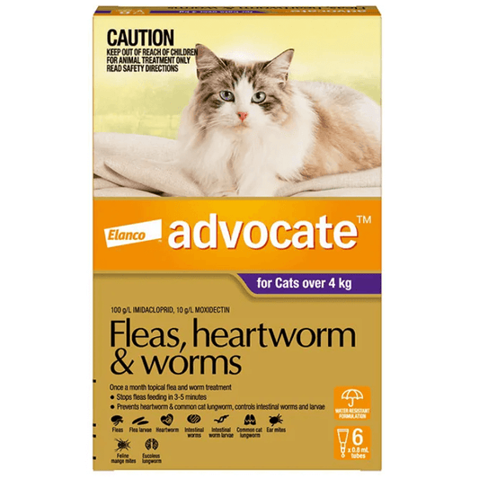 ADVOCATE Flea, Heartworm and Worm For Big Cat 6pack (Purple)-Petroom