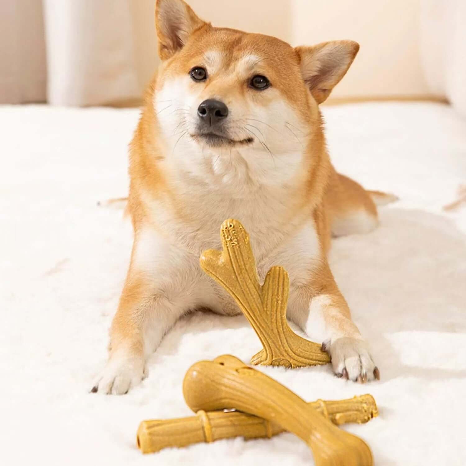 Antler-Shaped Chew Dog Toy – Durable Teething Stick for Small &Medium Dogs-Petroom