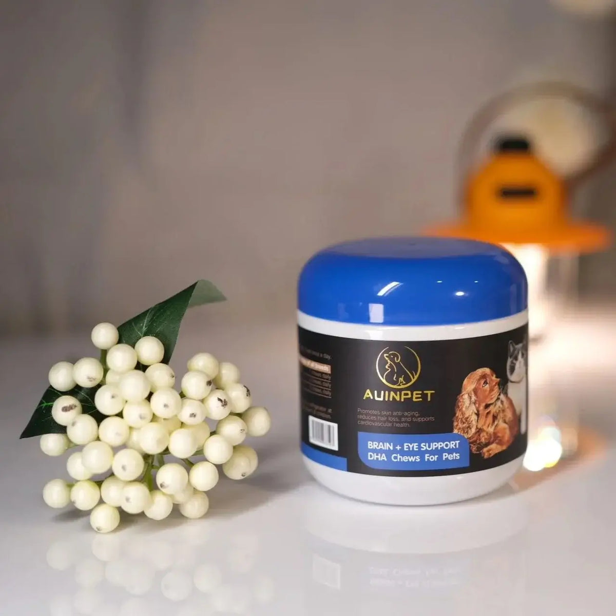 Auinpet BRAIN + EYE SUPPORT DHA Chews For Pets 180g-Petroom