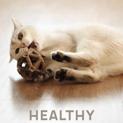 Dental Chew Catnip Cat Toy Ball