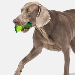 Fruit Shape Chewable Cooling Dog Toy Pre-order
