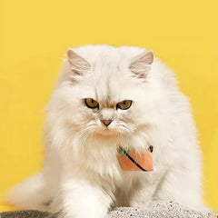 Petshy Naji-Ore Cat Litter 4.5kg