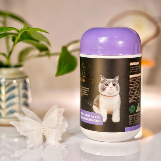 Auinpet SKIN + COAT For Cats Seaweed+Lecithin Chews 120g