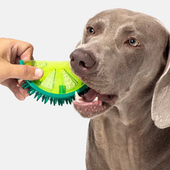Fruit Shape Chewable Cooling Dog Toy Pre-order