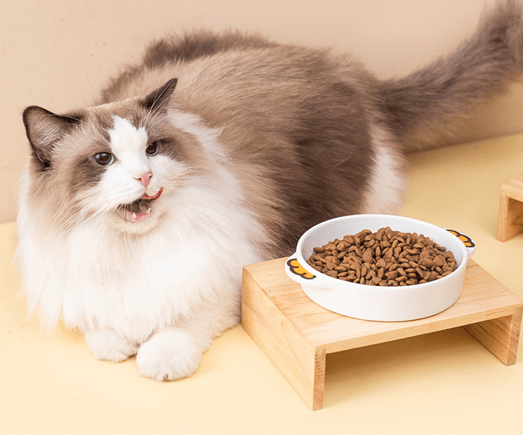 Cartoon Ceramic Cat Bowl – Pet Bowl Only, Cute Animal Design-Petroom