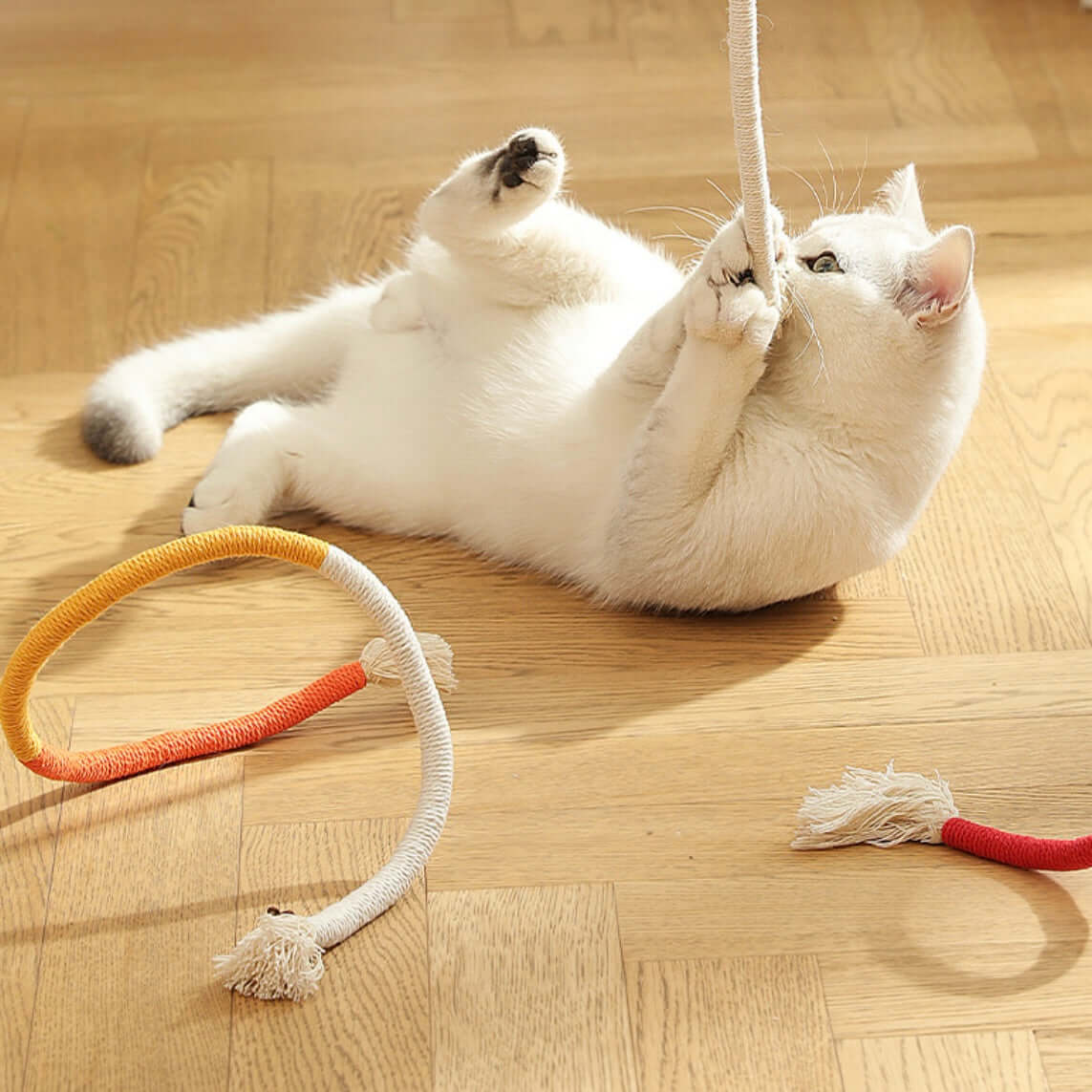 Cat Rope Toy – 70cm Catnip Chew Rope with Silvervine Fruit-Petroom