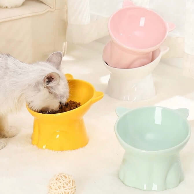 Ceramic Elevated Cat Bowl with 15° Tilt-Petroom
