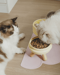 Ceramic Pet Bowls with Wood Stand Elevated Cat & Dog Feeder-Petroom