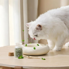Michu Euphoria Dried Catnip Flakes for Cats 100ml | Natural Catnip for Enrichment Alongside Freeze Dried Cat Treats