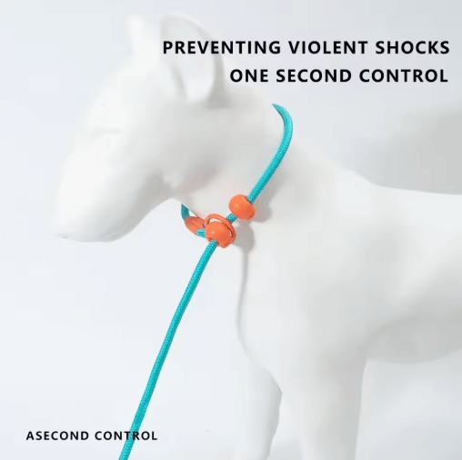 Durable Cotton Nylon Pet Rope Leash – Adjustable Slip Lead with Metal Ring-Petroom