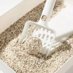 Petshy Plant Mixture Cat Litter 2.5kg