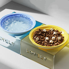 Acrylic Elevated Ceramic Pet Bowl Multicolor