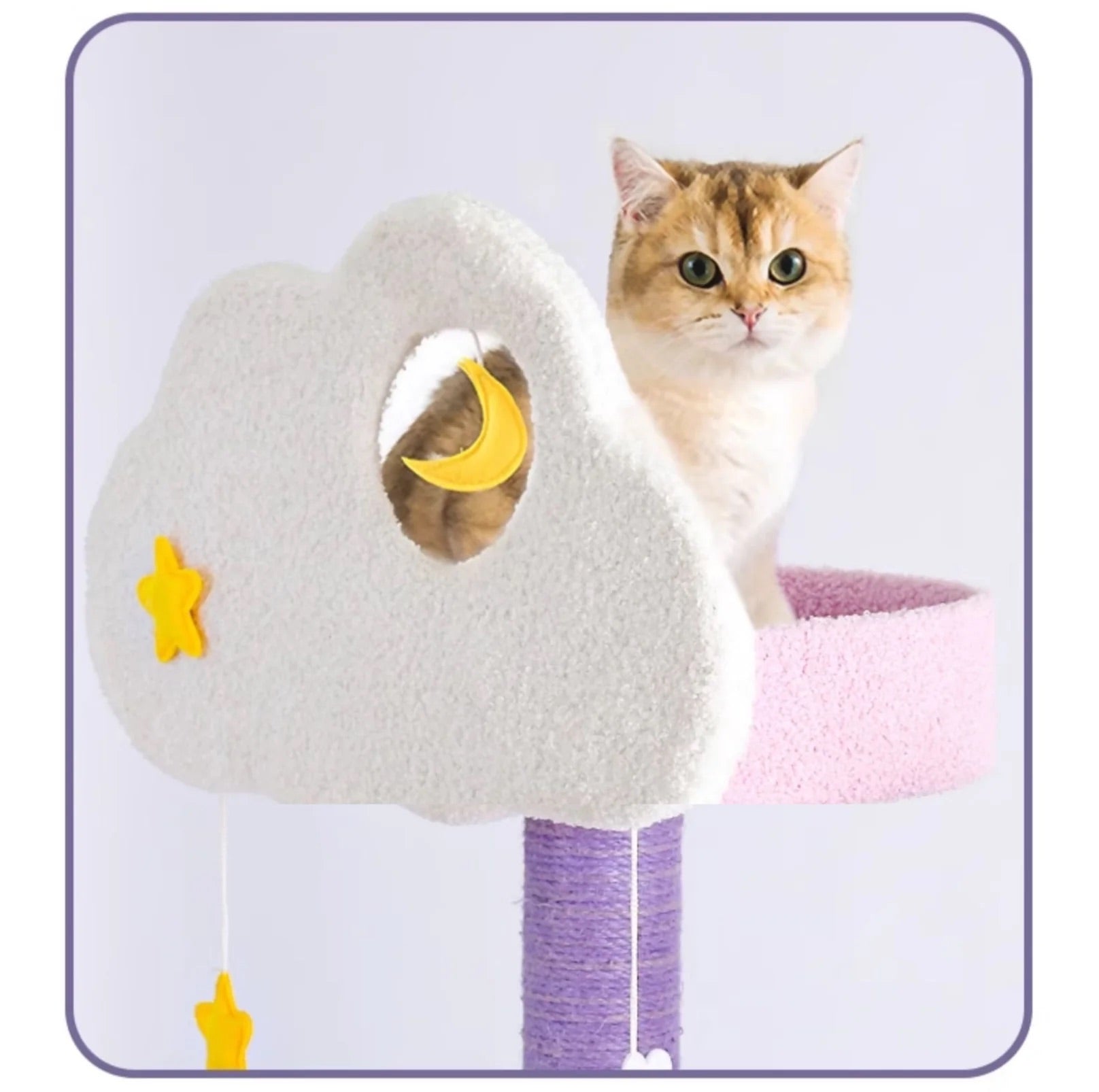 Echo Super Large Cat Tree With Scratching Post (Height 170cm)-Petroom