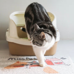 MISSPET Cute Cat Litter Trapping Mat 50x30 cm