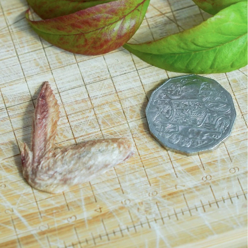 FUREEZE Freeze Dried Quail Wings 50g-Petroom