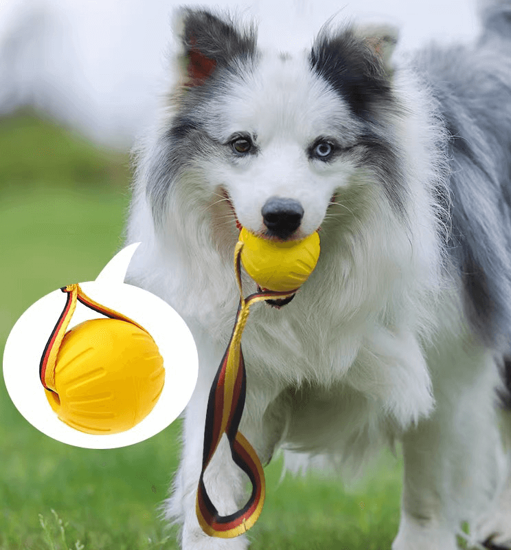 Floating Foam Dog Toy Ball with Rope – Safe & Durable Water Fetch Toy-Petroom