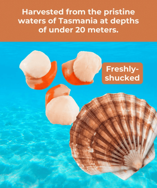 Fureeze Freeze Dried Scallop 30g-Petroom