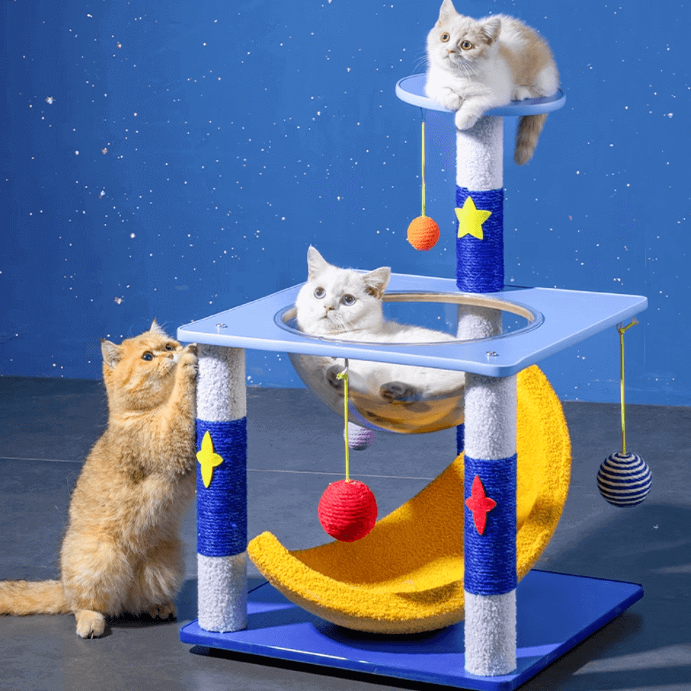 Galaxy Moon Nest and Space Capsule-Petroom