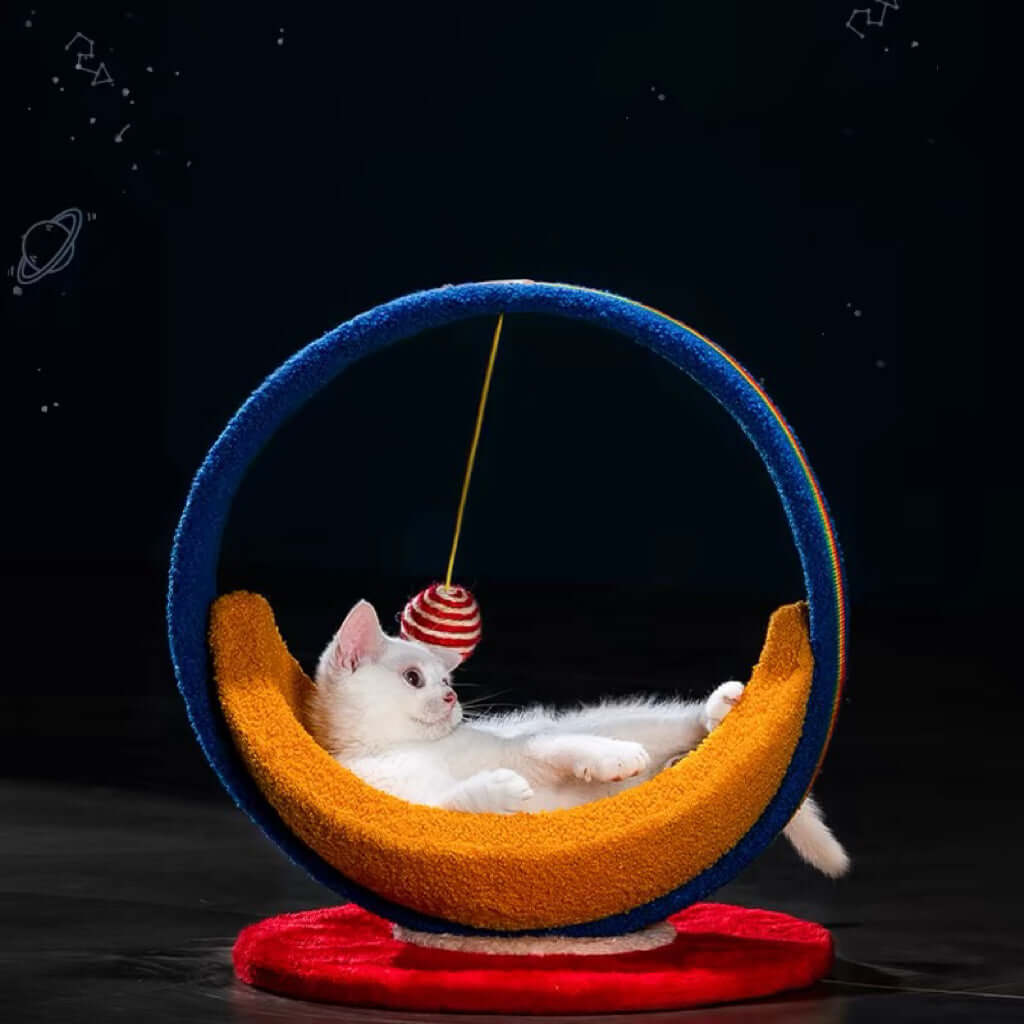Galaxy Moon Ship Cat Bed &Cat Scratcher-Petroom