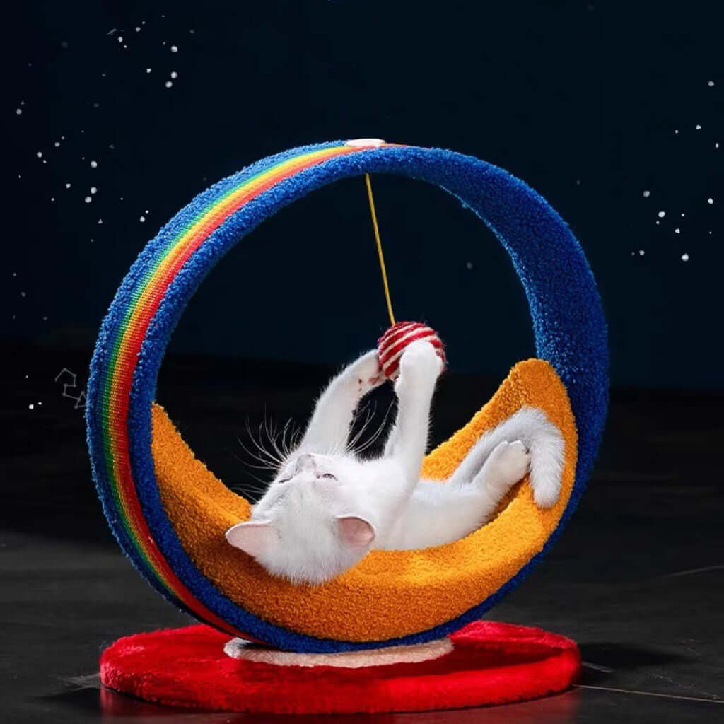 Galaxy Moon Ship Cat Bed &Cat Scratcher-Petroom