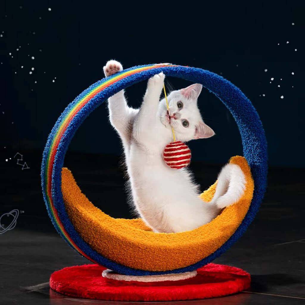 Galaxy Moon Ship Cat Bed &Cat Scratcher-Petroom