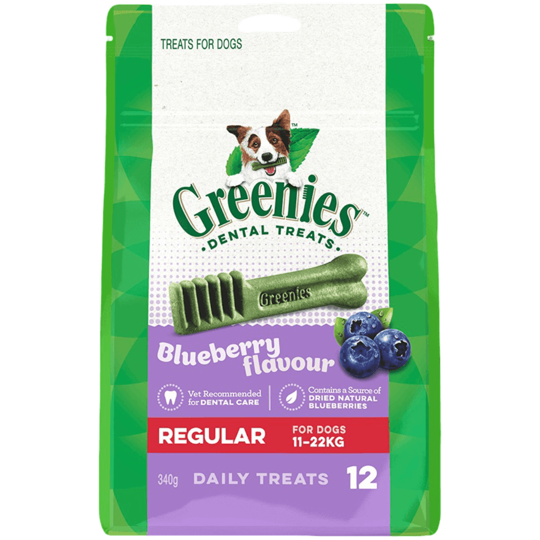 Greenies Blueberry Flavour Regular Dental Dog Treats 12 Chews package featuring dental treats with blueberry flavor.