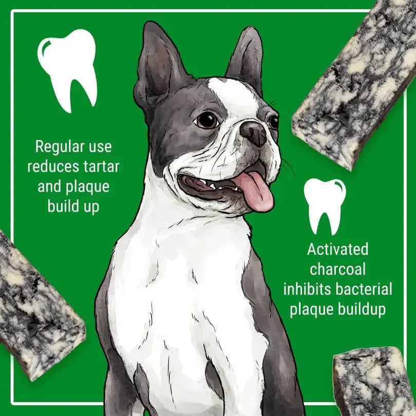 Himalayan Dog Chew Cheese Char With Activated Charcoal Medium-Petroom