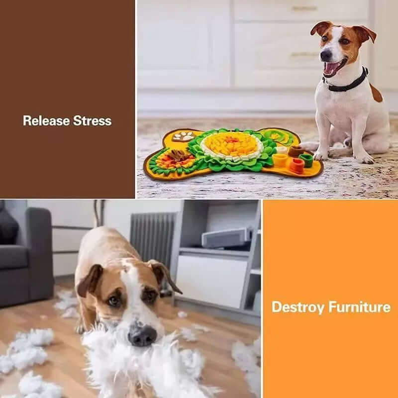 Interactive Bone Shape Snuffle Mat for Dogs & Cats-Petroom