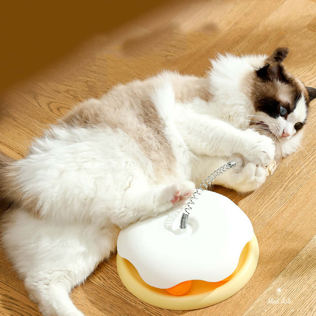 Interactive Pet Slow Feeder Toy Ball-Petroom