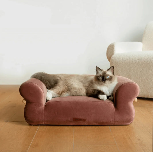 KAMA MUTA Bread Pet Bed - Italian-Inspired Design with Memory Foam and Ash Wood Frame-Petroom