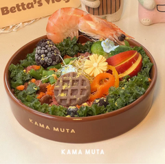 KAMA MUTA Ceramic Slow Feeder Bowl-Petroom