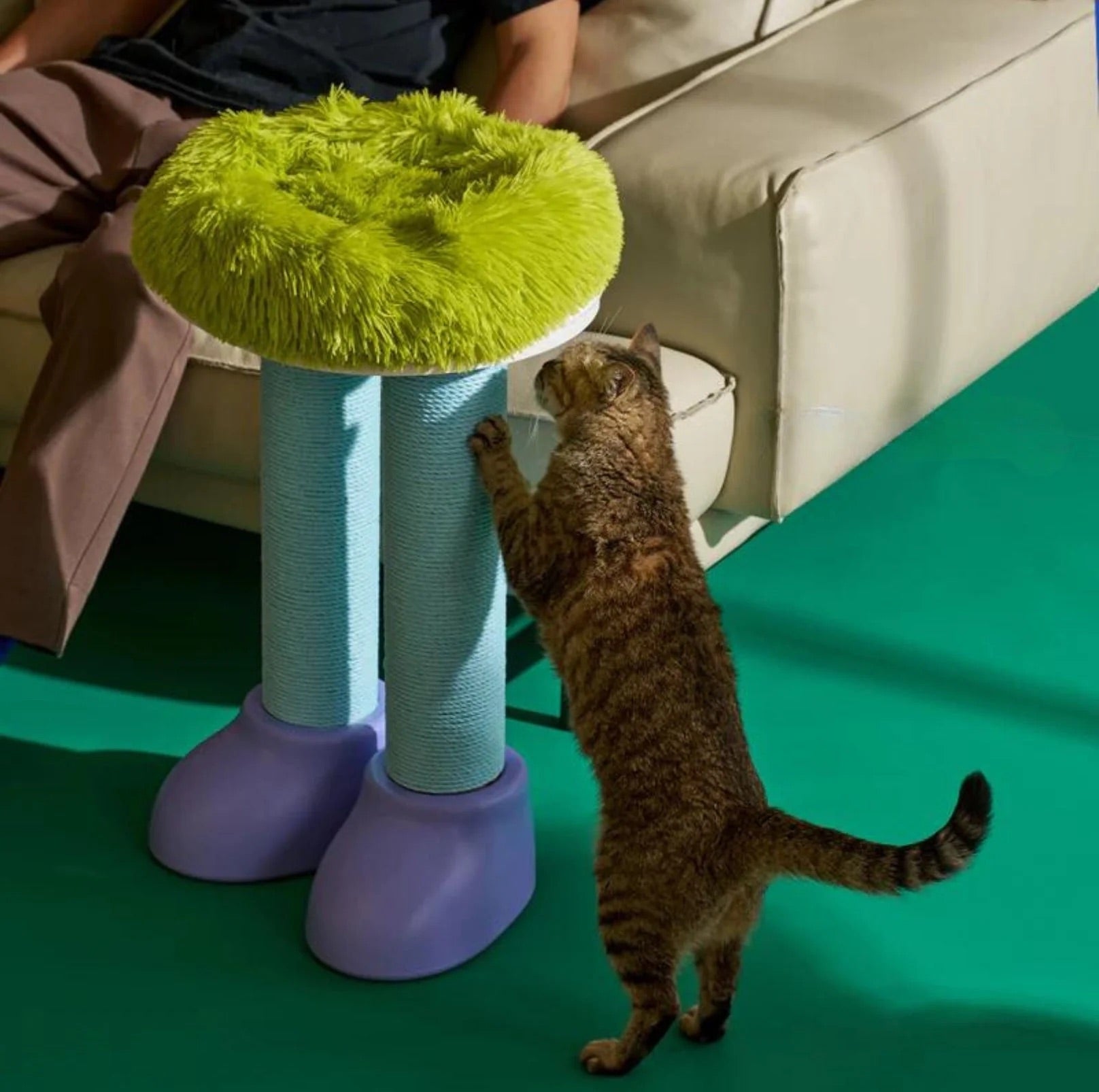 MAKESURE 3-in-1 Cat Scratcher, Bed, and Side Table - Stylish Feline Furniture-Petroom