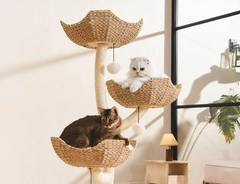 MICHU Iris Cat Tower Deluxe 3-Tier Designer Flower Cat Tree-Petroom