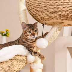 MICHU Iris Cat Tower Deluxe 3-Tier Designer Flower Cat Tree-Petroom