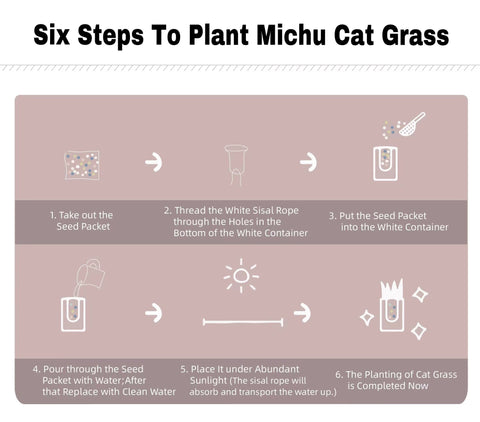 MICHU Soil-Free Cat Grass Kit With Extra Seed Pack-Petroom