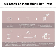 MICHU Soil-Free Cat Grass Kit With Extra Seed Pack-Petroom