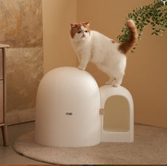 Makesure Cat Litter Box MAX Ideal for large cats-Petroom