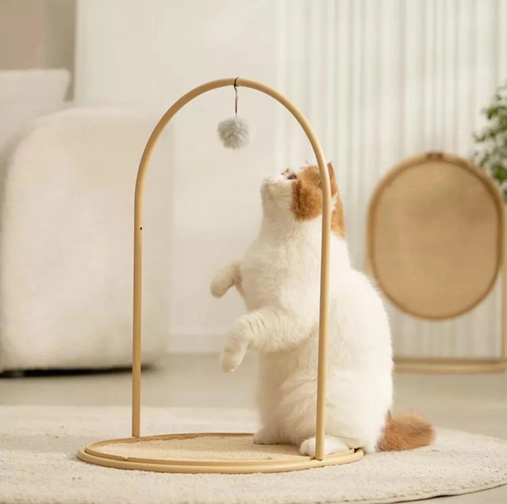 Makesure Multifunctional Cat Scratcher | Sisal Standing Scratching Board-Petroom