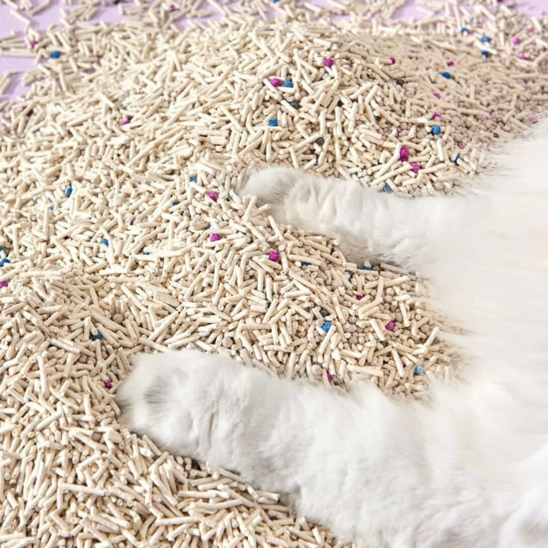 Michu 混合豆腐猫砂2.5kg 黑五团购活动来袭-PETROOM