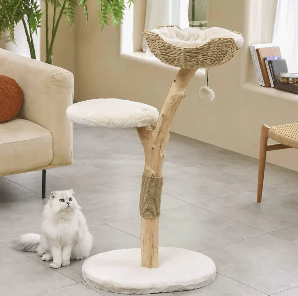 Michu Real Wood Cat Tree - Ultimate Feline Playground for Aussie Cats with a plush resting spot and playful features.