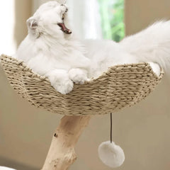 Michu Real Wood Cat Tree - Ultimate Feline Playground for Aussie Cats with a cat lounging comfortably.